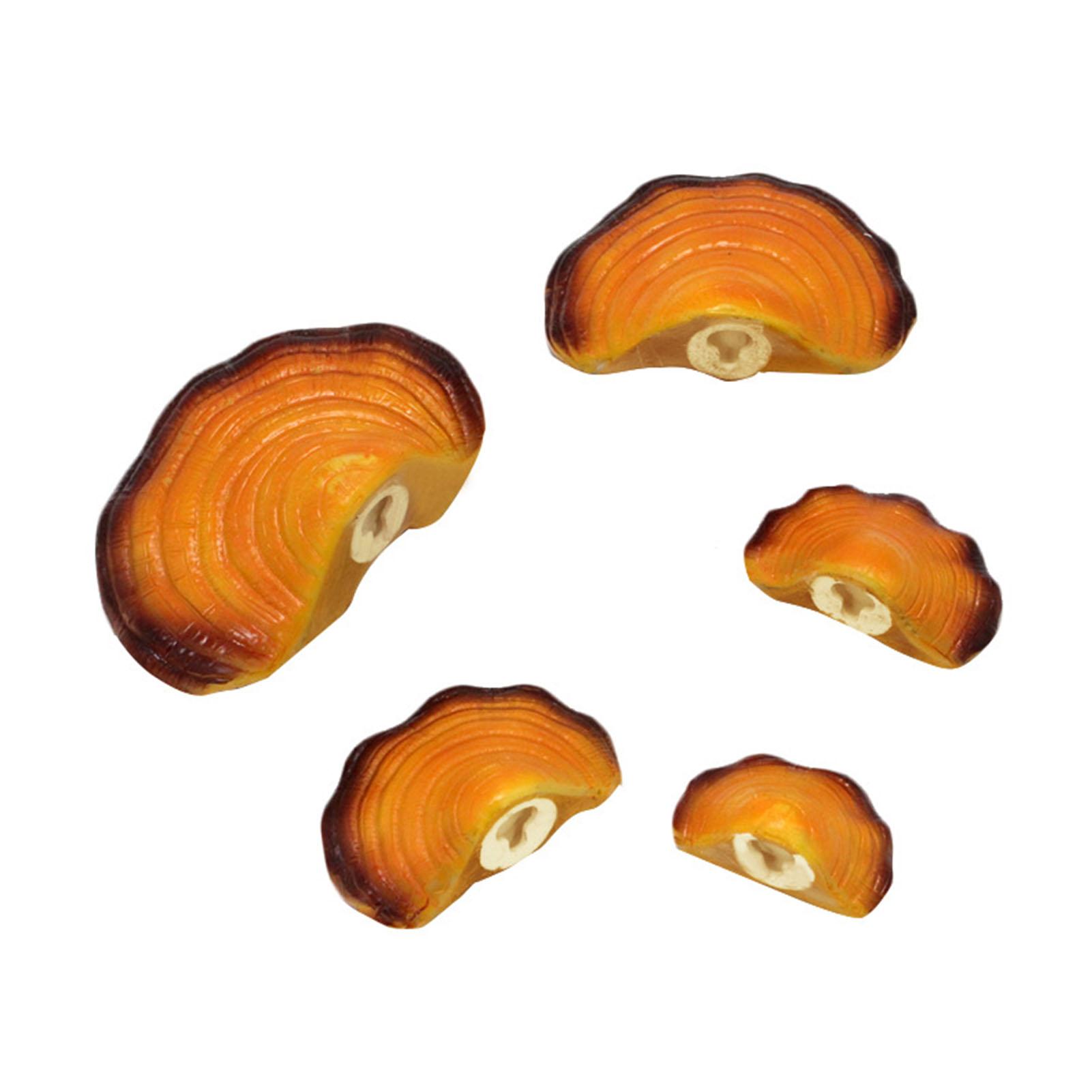 

Simulation Mushroom Shelf Decoration Set Resin Artificial Mini Reishi Mushroom Wall Shelves for Cottage Yard Outdoor