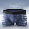 Men's Ice Silk Mesh Breathable Boxer Briefs - Transparent, Sexy, Summer Thin