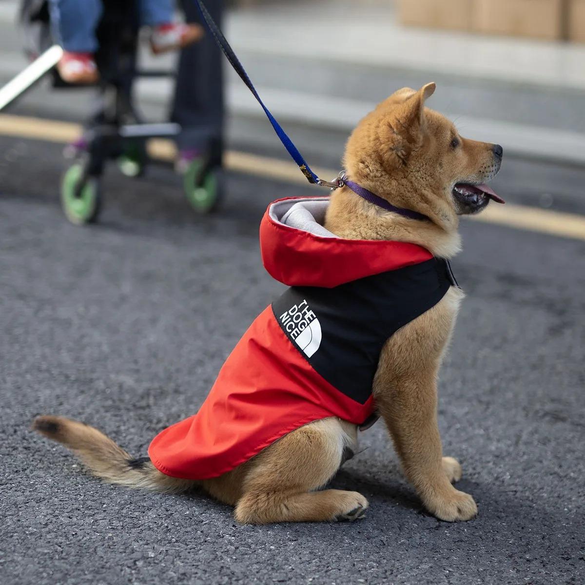 

Clothes for Dog Summer Puppy Clothing Doggy Pet Dogs Pets Shirts Apparel Blouse Shirt Spring Supplies S