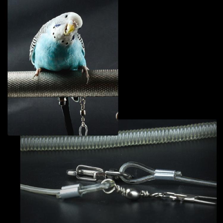Parrot Bird Leash Outdoor Flying Harness Training Rope Anti Bite Easy Carry
