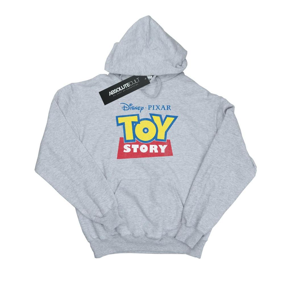 Toy Story Womens/Ladies Logo Heather Hoodie