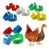 1Pack/100Pcs Inner Diameter 2.5cm Poultry Clip-type Foot Ring NO.001-100 Chicken Duck Goose Pigeon Label Buckle Poultry Supplies