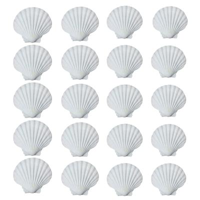 Packung mit 20 großen weißen Jakobsmuscheln für Basteln, Bemalen, Backen, Ozean-Motto-Party-Dekoration und Wohnakzent 6-8cm