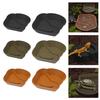 Step Design Reptiles Bathing Bowl Plastic Terrariums Basin For Turtles Lizards Feeding Soaking Bath Pool with Ramps