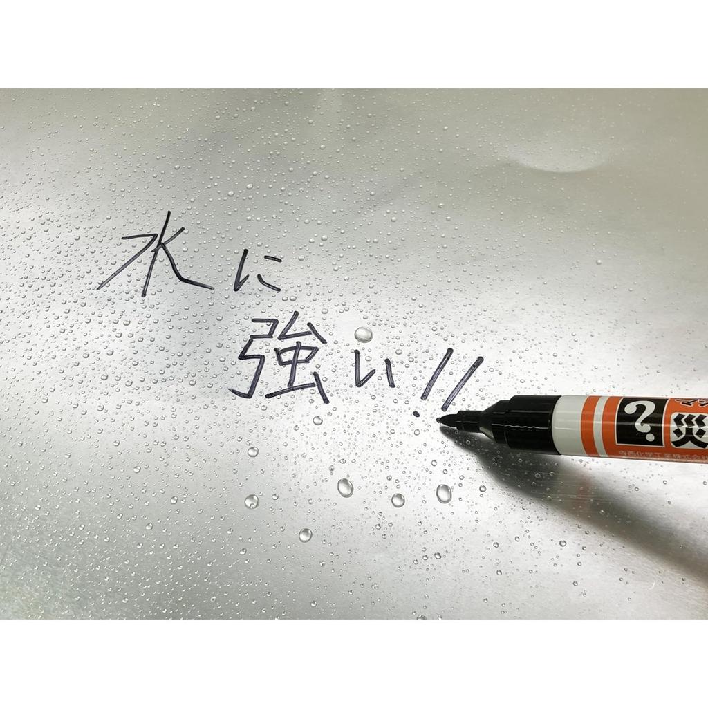 Teranishi Chemical Magic Ink Emergency Permanent Marker Set 2-Pack Extra Broad & Medium Black Waterproof Ink MSGC-T1-2P