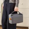 Borsa Pranzo Termica Pieghevole Portatile Grande Capacità Borsa Bento Portatile Borsa da Picnic Impermeabile per Esterni Borsa Frigo Borsa a Mano Multifunzionale