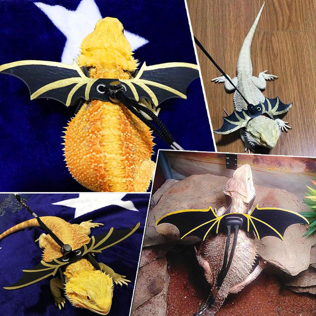 Geschirrleine, Zugschnur für Bartagamen/Leguane Reptilien Kleintiere, 2 Farben, S/M/L