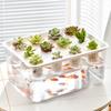 Visible Cultivation Tray Hydroponic Grower Box Container With Lid For Home Vegetables Water Based Gardening And Home Use
