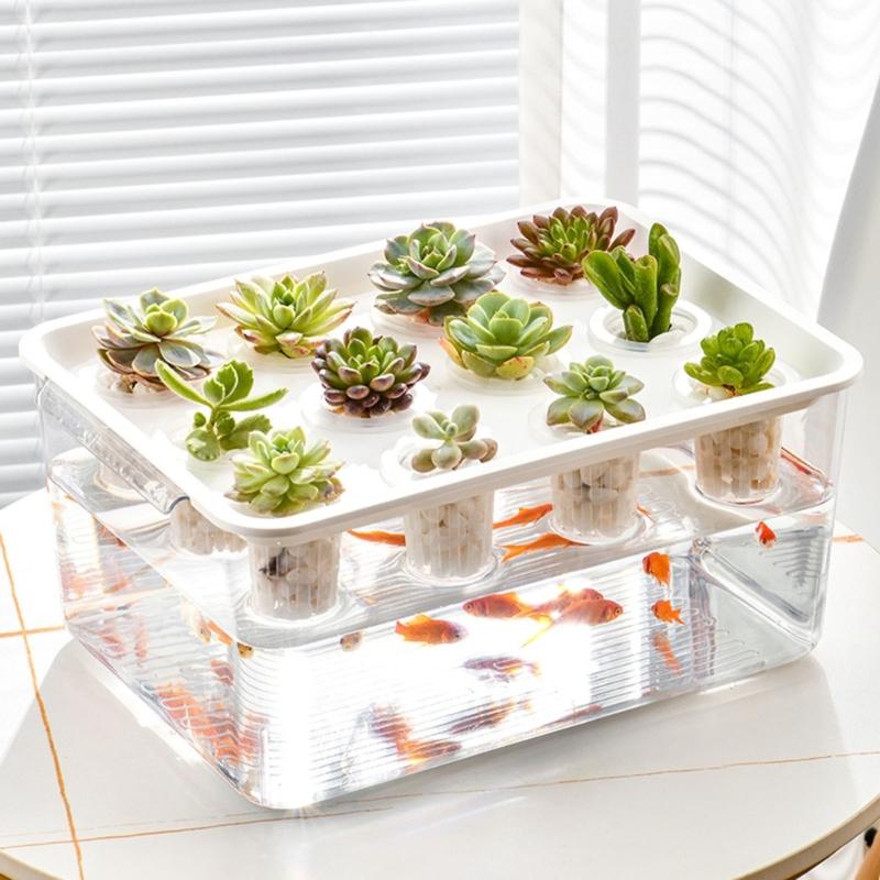 Visible Cultivation Tray Hydroponic Grower Box Container With Lid For Home Vegetables Water Based Gardening And Home Use