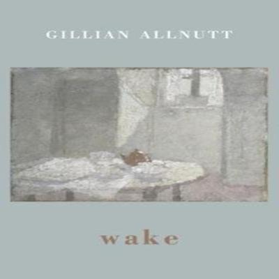 Wake by Gillian Allnutt Paperback Book 9781780374062