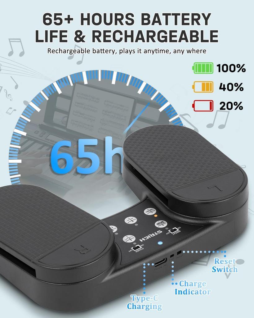 STRICH Wireless Page Turner for Foot Compatible with iPad and Windows Tablets, Pedal, 11, SPT-10