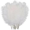 10 Stück 20-25cm Elegante Straußenfedern Große Flauschige Federn für Hochzeitsfeier Hauszimmer DIY Dekorationen