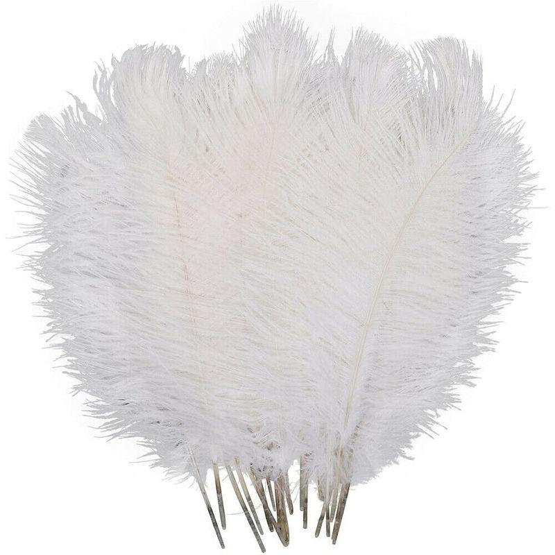 10 Stück 20-25cm Elegante Straußenfedern Große Flauschige Federn für Hochzeitsfeier Hauszimmer DIY Dekorationen