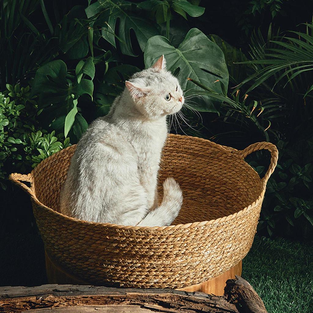 Cat Bed Basket Scratch Mat Indoor Nest Handmade Winter Summer Round Grass Woven Pet