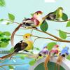 12pcs Mini Artificial Birds  Multicolor Craft Ornaments For Home Garden Decoration