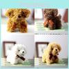 Mini Porte-clés Peluche Chien Teddy Peluche Courte Design Réaliste 12 cm de Haut