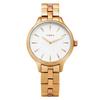 TW2V06300VP City Patent Women's Metal Watch