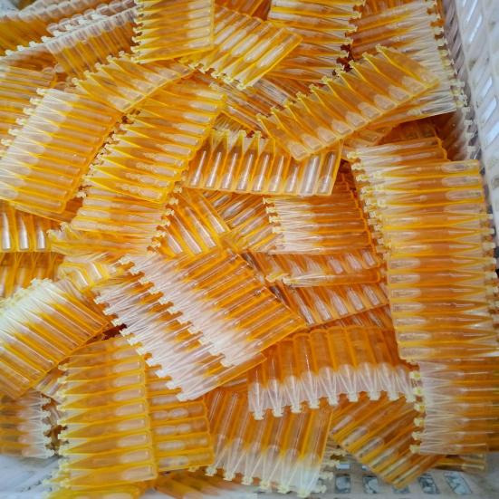 Fruchtfliegenfalle Sichere Flüssigkeit Mini Stoppt Befall Trapping Werkzeug für Garten