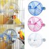 Rotate Parrot Food Box Acrylic Birds Bite Chewing Toys Challenging Birds Foraging Wheels Parrot