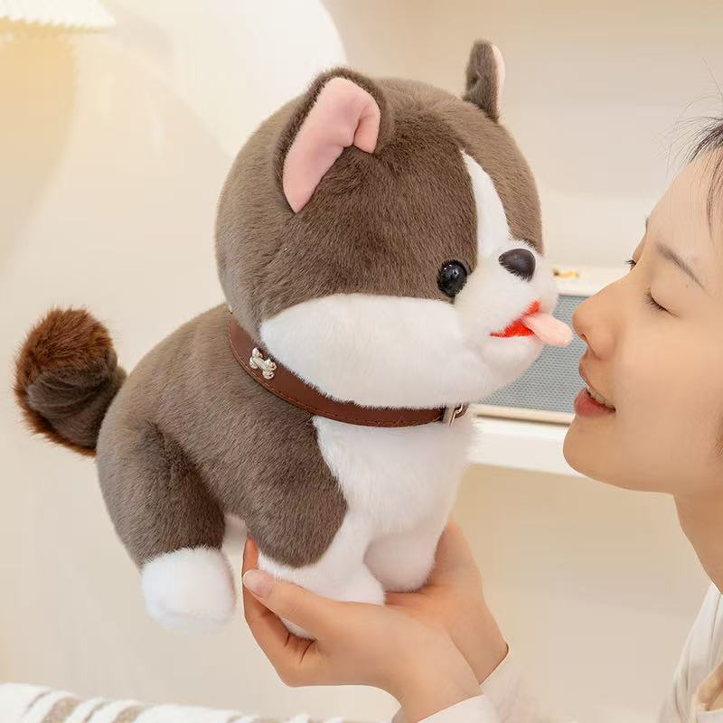 25/35cm Glückshund Puppe Stofftier Plüschtier Handgemachte Puppe Cartoon Anime Niedliches Kissen Kissen Lustiges Kindergeburtstagsgeschenk Puppe