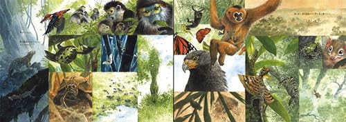 Soria In the Forest: The Story of Chang, the Sun Bear Rescue (Translated Picture Book Series)
