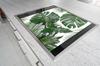 SZKLANA DESKA DO KROJENIA 52x40 MONSTERA