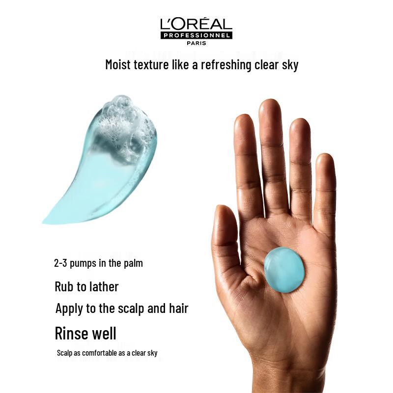 L'Oréal PRO Scalp Expert Anti-Dandruff Purifying Shampoo