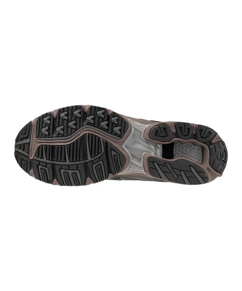 Mizuno Wave Rider 10 D1GA243109 [Shipped from Korea] 100% Authentic