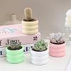 Handmade Creative Mini Plastic Flower Pot Ornament for Succulents