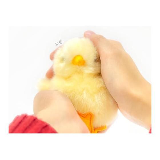 Yoshinori Riku No Friends Plush Toy Chick 180444