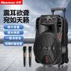 Newmine N509 Portable Bluetooth Karaoke Trolley Speaker CN Plug (adapter Included)