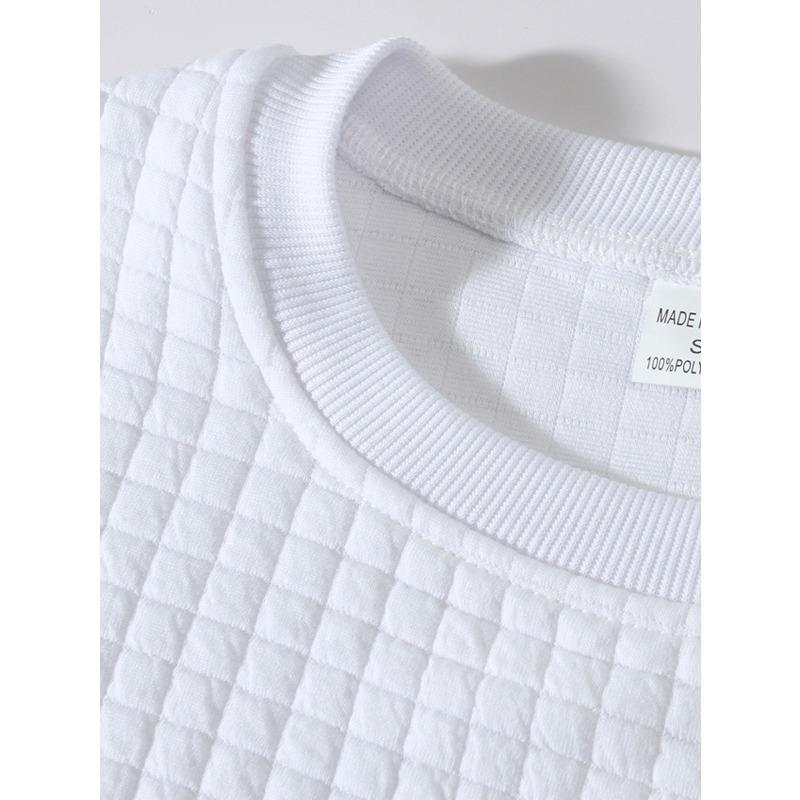 Men's Fall Winter Slim Fit Crew Neck Long Sleeve Sweatshirt, Solid Small Grid Pattern Casual Base Layer Pullover Tops
