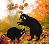 Metal Raccoon Garden Statues Stakes, Black Raccoon Silhouette Animals Decorative Garden Stakes,Statues Animal Stakes for Yard Decor and Lawn Ornaments