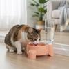 Automatic Refilling Pet Water Bowl Dish Set With 500ml Bottle Removable Tray Anti Tip Base For Small Animals