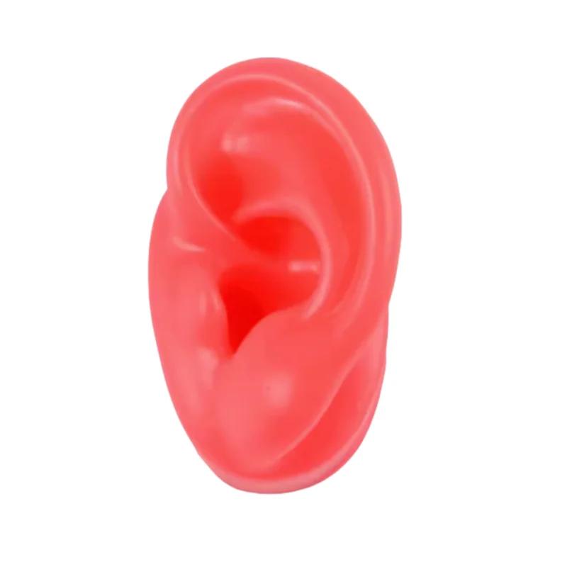 5D Silicone Simulated Artificial Ear Model Ear Stud Piercing Piercing Piercing Teaching Hearing Aid Acupuncture Practice Prop