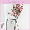 Fruit Branch Hawthorn Hotel Landing Flower Arrangement Decoration Photography