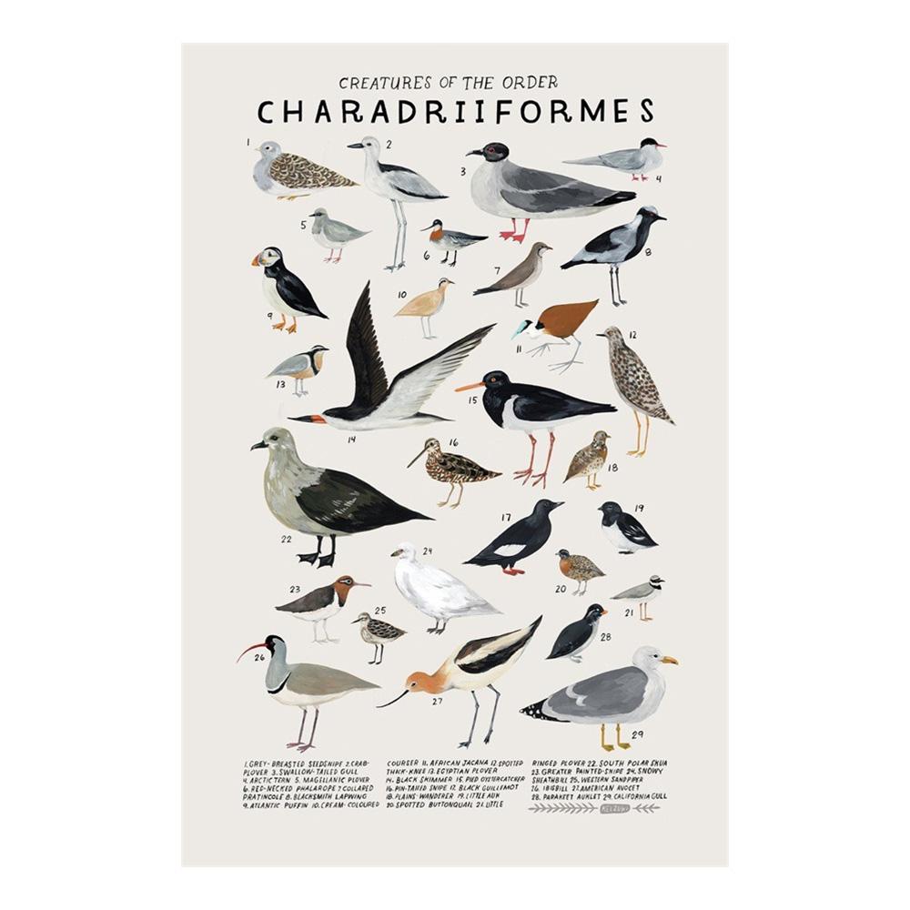 Abstract Marine Organisms Jellyfish Whale Squid Fishes Posters Canvas Painting and Prints Wall Art Picture for Room Home Decor