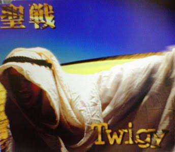 

12inch Record TWIGY - Seisen (holy War) PHJL10008 Vortex Records 1996 Japan Rap & Hip-Hop/R&B Used