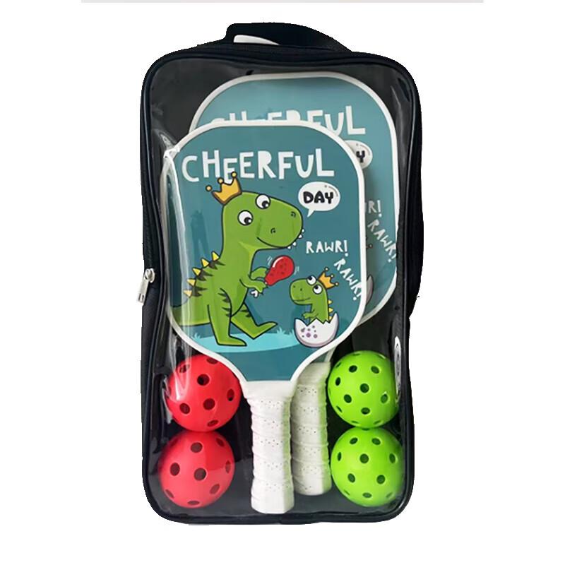 

Glass Fiber Family Pickleball Set