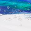 Rose Flower Shower Curtain Set Non-Slip Rugs Bath Mat Toilet Lid Cover And 12 Hooks Waterproof Polyester Bathroom Home Decor