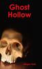Kniha Ghost Hollow