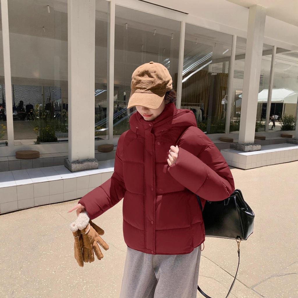 Daunen Baumwollkleidung Winter Neu Koreanische Version Locker Damen Dünn und Groß Warm Kurze Jacke