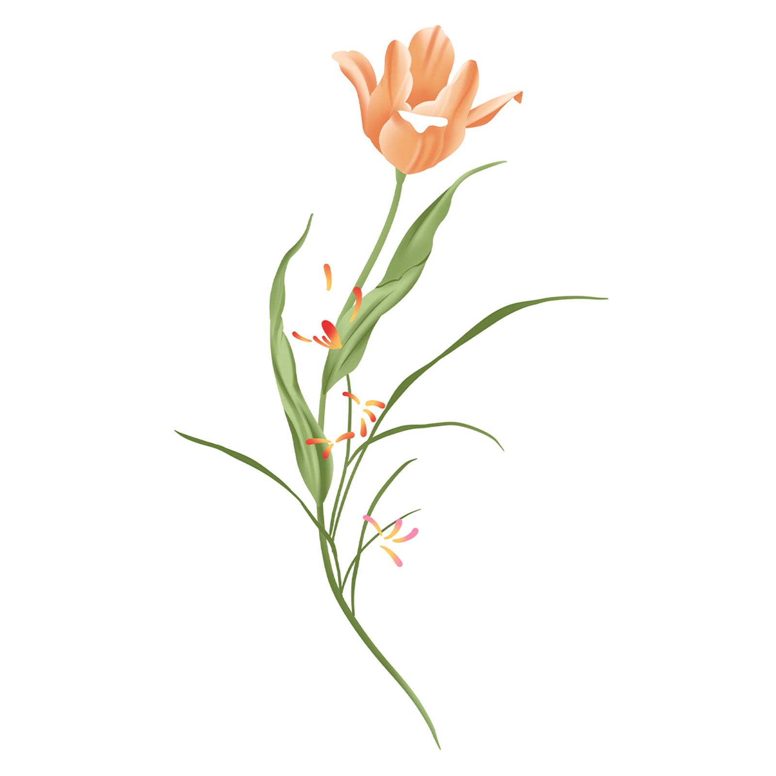 High Value, Small Fresh And Simple Tulips, Morning Glory, Plain Flower Tattoo Stickers 6*10CM