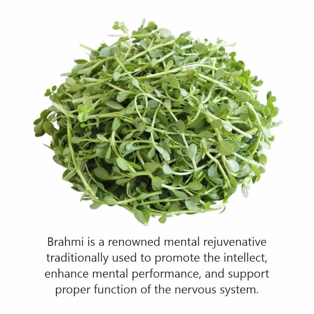 Jain Brahmi Powder 800 Grams Pure Bacopa Monnieri for Cognitive Support and Focus Enhancement