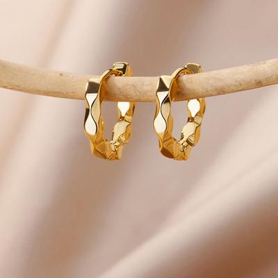 Stainless Steel Irregular Twist Earrings for Women Gold Color Round Hoop Earrings Fashion Jewelry Wedding Gifts