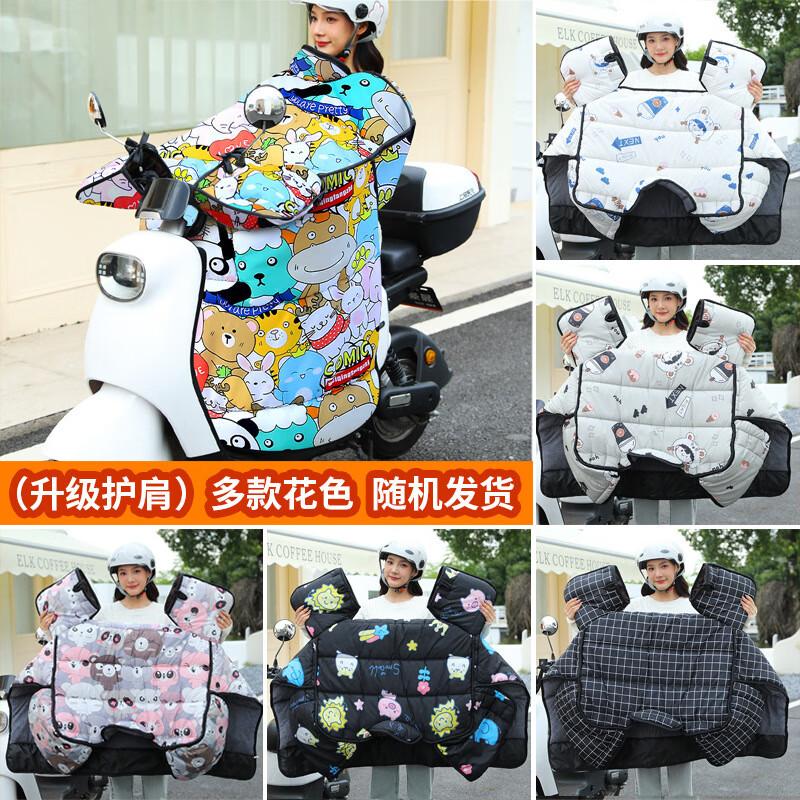 DUTRIEUX Warm Winter Electric Bike Windproof Cover