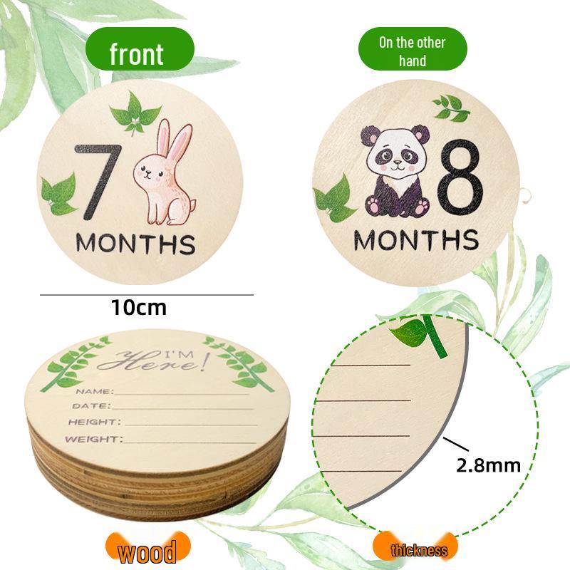 Wooden Baby Milestone Month Marker Photo Prop - DIY Round Plaque Set