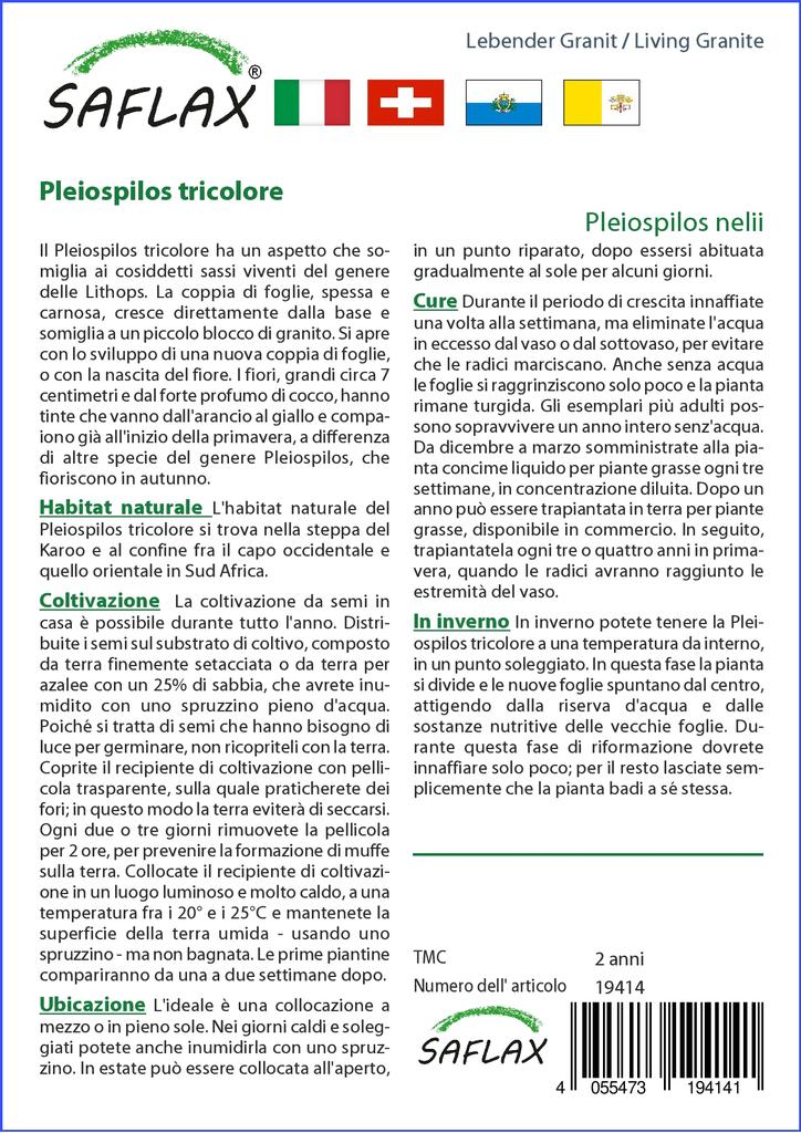 SAFLAX Lebender Granit – 40 Samen – Pleiospilos nelii