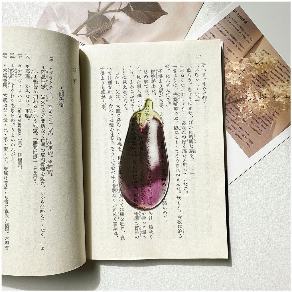 Transparenter Acryl-Lesezeichen Frucht-Gemüse-Design Kreativer Seitenmarkierer Klares Buchzubehör Für Lese-Schüler Geschenk