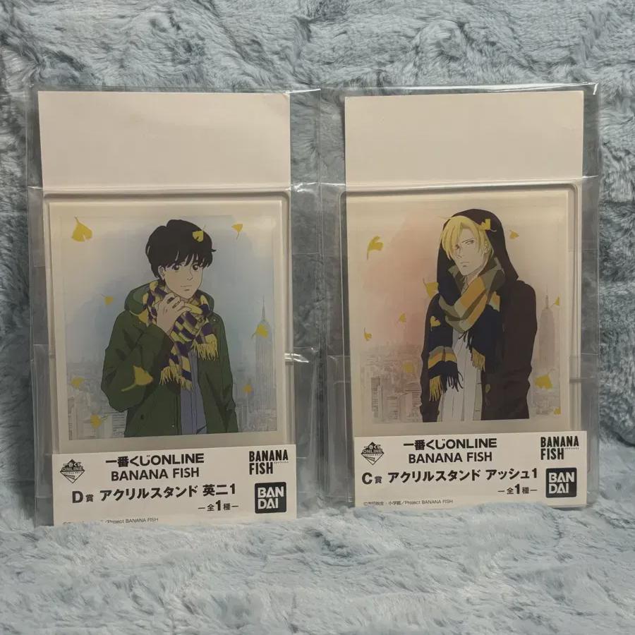 

Bananafish Online Coogee Ash Age Акриловая Подставка Оптом